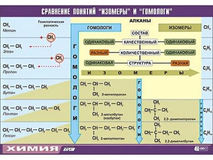 Таблица демонстрационная "Сравнение понятий изомер и гомолог" (винил 70x100) - fgospostavki.ru - Кубинка