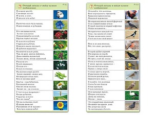 Комплект карточек (10) "Обучающий калейдоскоп. Природа" - fgospostavki.ru - Кубинка
