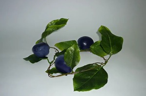 Ветка муляжей "Слива" - fgospostavki.ru - Кубинка