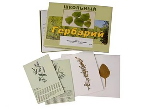 Гербарий "Лекарственные растения" (22 вида с иллюстрациями) - fgospostavki.ru - Кубинка