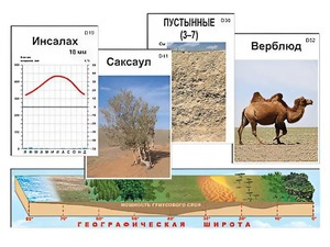 Модель-аппликация "Природные зоны" - fgospostavki.ru - Кубинка