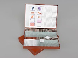 Комплект микропрепаратов "Общая биология" - fgospostavki.ru - Кубинка