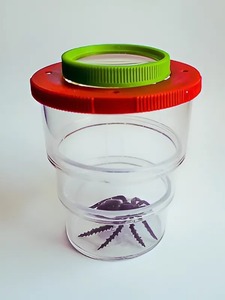 Коробка для изучения насекомых (с лупой) - fgospostavki.ru - Кубинка