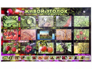 Комплект оборудования "Живой уголок" (растения) с тифлопереводом и сурдокомментариями - fgospostavki.ru - Кубинка