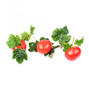 Ветка муляжей "Помидоры" - fgospostavki.ru - Кубинка