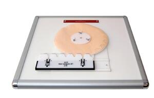 Комплекс "Изучение зубьев" - fgospostavki.ru - Кубинка