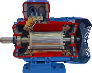 Учебная модель «Электродвигатель асинхронный в разрезе» - fgospostavki.ru - Кубинка