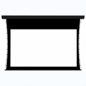 Экран настенный с электроприводом DSTPX-16916 - fgospostavki.ru - Кубинка