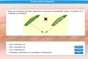 Интерактивные курсы. Биология 11 класс. Базовый. - fgospostavki.ru - Кубинка
