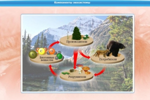 Интерактивные курсы. Биология 7 класс. Базовый. - fgospostavki.ru - Кубинка