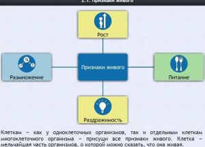 Интерактивные курсы. Биология 5 класс. Базовый - fgospostavki.ru - Кубинка