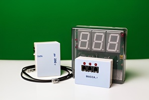Датчик массы 200 г с независимой индикацией (весы с USB-переходником) - fgospostavki.ru - Кубинка