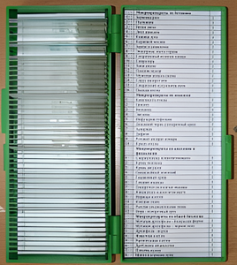 Набор микропрепаратов - fgospostavki.ru - Кубинка