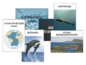 Модель-аппликация "Океаны. Знакомство" (ламинированная) - fgospostavki.ru - Кубинка