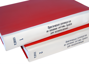Практическое руководство по освоению системы Брайля для поздноослепших в 2-х книгах - fgospostavki.ru - Кубинка