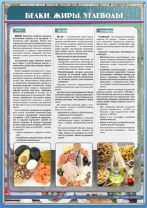 Стенд "Белки. Жиры. Углеводы" - fgospostavki.ru - Кубинка