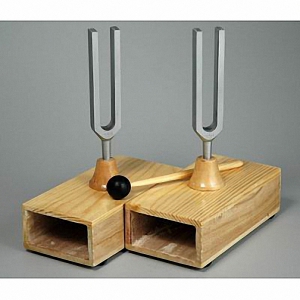 Камертоны на резонансных ящиках с молоточком - fgospostavki.ru - Кубинка