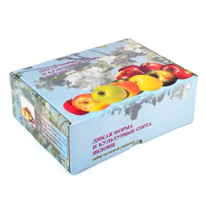 Набор муляжей "Дикая форма и культурные сорта яблок" - fgospostavki.ru - Кубинка