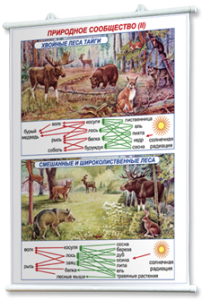 Плакаты по географии России для оформления кабинета. - fgospostavki.ru - Кубинка