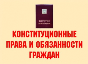 Комплект плакатов "Конституционные права и обязанности граждан" - fgospostavki.ru - Кубинка