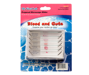 Набор микропрепаратов для микроскопа №1 «Человек» - fgospostavki.ru - Кубинка