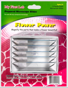 Набор микропрепаратов для микроскопа №6 «Цветы» - fgospostavki.ru - Кубинка