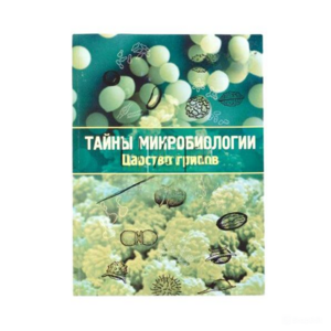 Набор «Тайны микробиологии» (Царство грибов) - fgospostavki.ru - Кубинка