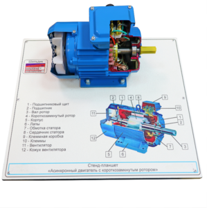 Стенд-планшет «Асинхронный двигатель с короткозамкнутым ротором» - fgospostavki.ru - Кубинка