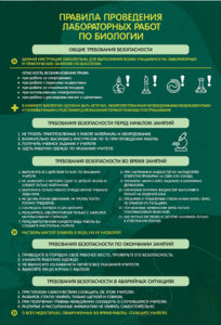 Стенд "Правила выполнения лабораторных работ по биологии" Вариант 1 - fgospostavki.ru - Кубинка