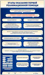 Электрифицированный стенд-тренажер "Этапы оказания первой реанимационной помощи" - fgospostavki.ru - Кубинка