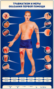 Электрифицированный стенд-тренажер "Травматизм и меры оказания первой помощи" - fgospostavki.ru - Кубинка