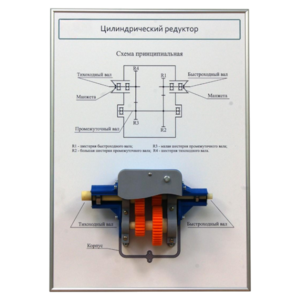 Плакат планшет с демонстрационной моделью «Цилиндрический редуктор» - fgospostavki.ru - Кубинка