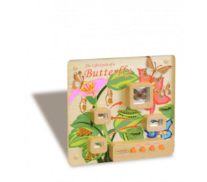 Панель «Жизненный цикл бабочки» - fgospostavki.ru - Кубинка