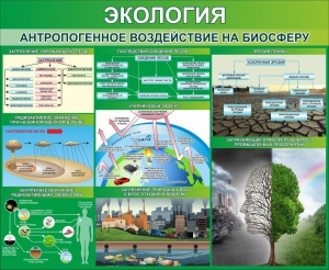 Стенд "Экология. Антропогенное воздействие на биосферу" - fgospostavki.ru - Кубинка