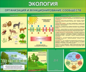 Стенд "Экология. Организация и функционирование сообществ" - fgospostavki.ru - Кубинка