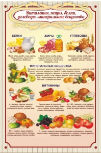 Стенд "Витамины, жиры, белки" - fgospostavki.ru - Кубинка