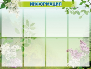 Стенд "Информация" Вариант 13 - fgospostavki.ru - Кубинка