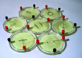 Демонстрационный комплект «Силовые линии электрического поля разных систем зарядов» - fgospostavki.ru - Кубинка