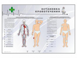Электрифицированный стенд "Остановка кровотечения" - fgospostavki.ru - Кубинка