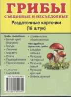 Раздаточные карточки "Грибы съедобные и не съедобные" - fgospostavki.ru - Кубинка