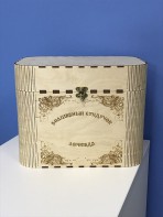 Сундук логопеда для детей 6-7 лет (интерактив +) - fgospostavki.ru - Кубинка