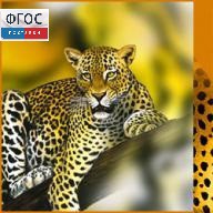 Зоология. (Цифровая база изображений) - fgospostavki.ru - Кубинка