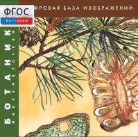 Ботаника. Микрофотографии. (Цифровая база изображений) - fgospostavki.ru - Кубинка