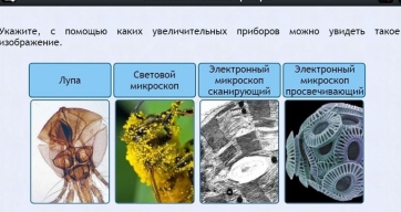 Интерактивные курсы. Биология 5 класс. Расширенный - fgospostavki.ru - Кубинка