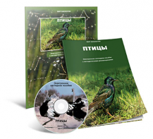 Электронное наглядное пособие «Птицы» - fgospostavki.ru - Кубинка