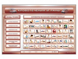 Трехсекционный базовый комплект "Травмы. Кровотечения. Ожоги" для учащихся общеобразовательных учреждений - fgospostavki.ru - Кубинка