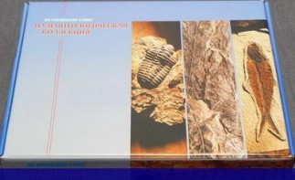 Коллекция "Палеонтологическая" (16 образцов) - fgospostavki.ru - Кубинка