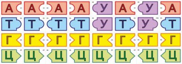 Модель-аппликация Удвоение ДНК и транскрипция РНК - fgospostavki.ru - Кубинка