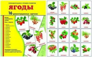 Демонстрационные карточки "Ягоды" - fgospostavki.ru - Кубинка