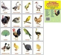 Раздаточные карточки "Птицы домашние и декоративные" - fgospostavki.ru - Кубинка